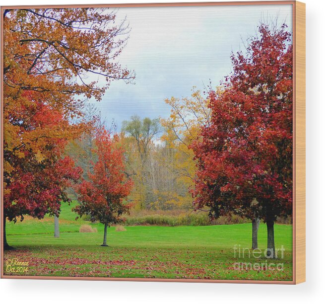 Landscape Wood Print featuring the photograph Autumn Colors #2 by Rennae Christman