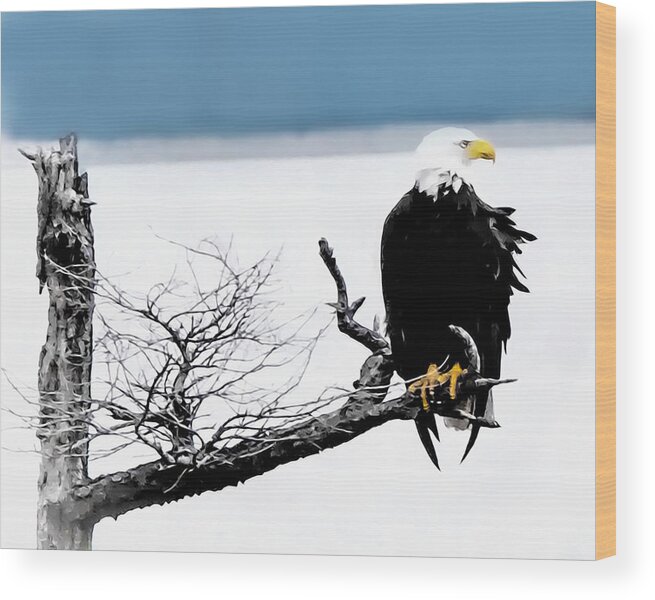 Eagle Wood Print featuring the photograph Elegance in the Morning #3 by Terry Fiala