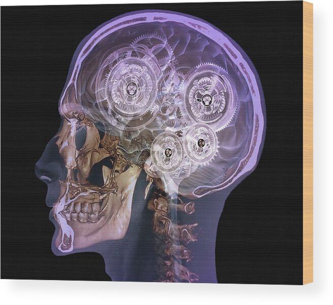 Brain Wood Print featuring the photograph Mechanical Brain by Zephyr/science Photo Library