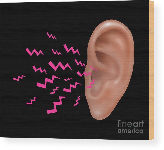 Illustration Wood Print featuring the photograph Sound Entering Human Outer Ear by Gwen Shockey