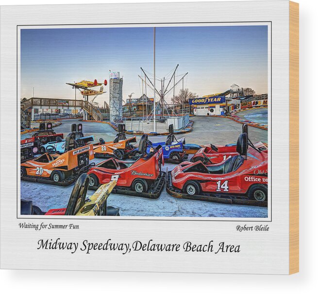 Go Carts Wood Print featuring the photograph Waiting for Summer #4 by Gene Bleile Photography 
