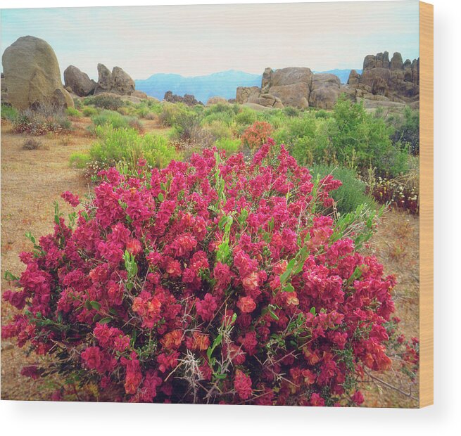 Abundance Wood Print featuring the photograph USA, California, Sierra Nevada Mountains #70 by Jaynes Gallery