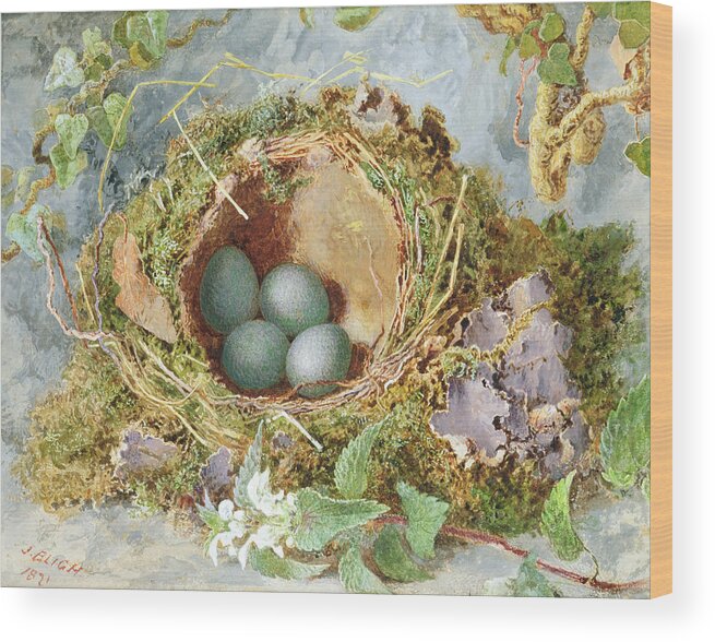 Birds Wood Print featuring the painting A Nest Of Eggs, 1871 by Jabez Bligh