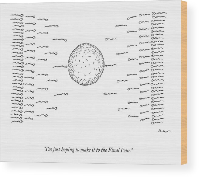 March Madness Wood Print featuring the drawing A Number Of Sperms Approach An Egg In The Shape by Michael Shaw