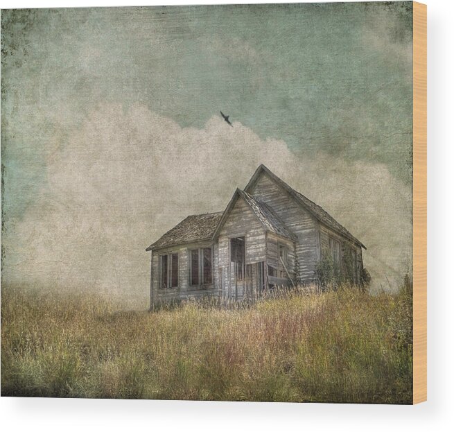 Landscape Wood Print featuring the photograph Abandoned by Juli Scalzi