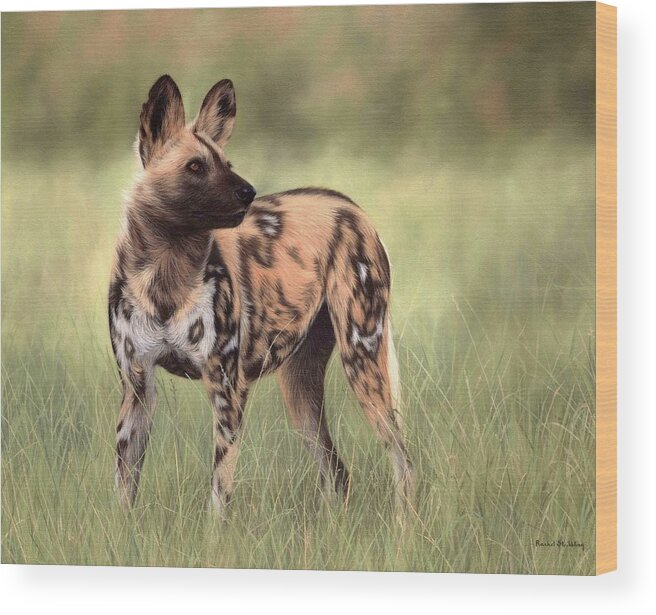Wild Dog Wood Print featuring the painting African Wild Dog Painting by Rachel Stribbling