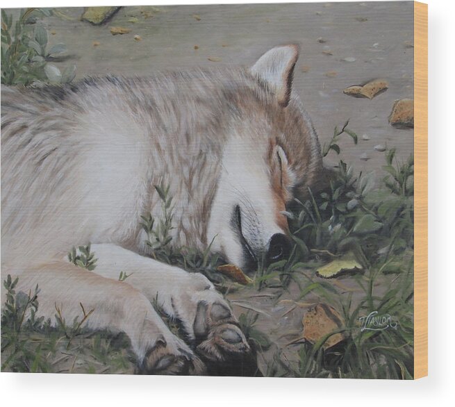 Wolf Wood Print featuring the painting Afternoon Nap by Tammy Taylor