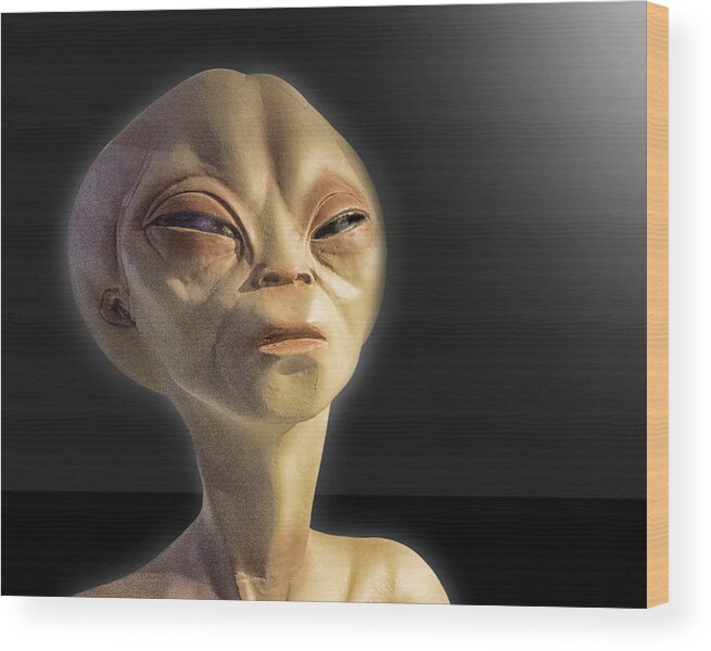 Alien Wood Print featuring the photograph Alien Yearbook Photo by Gary Warnimont