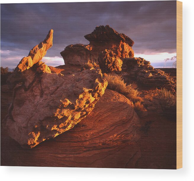 Navajo Nation Wood Print featuring the photograph Alient Rocks by Ray Mathis