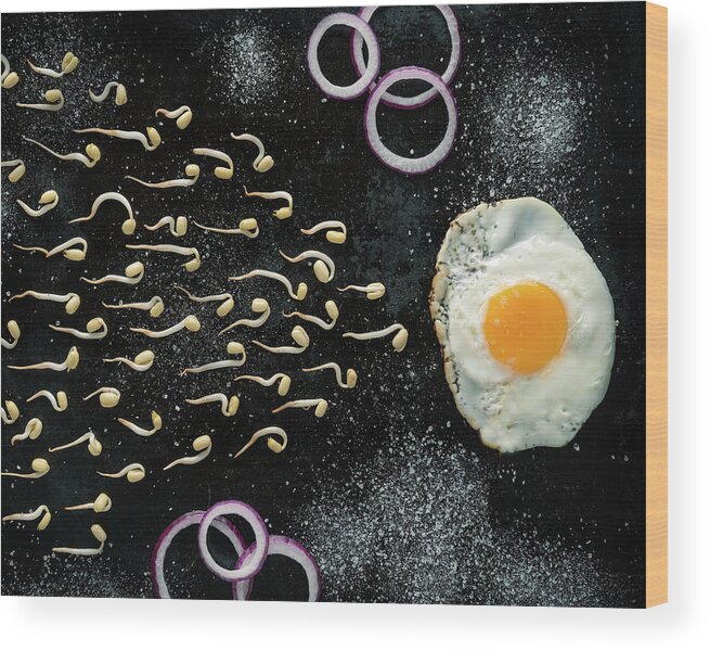 Egg Wood Print featuring the photograph And The Winner Is... by Petri Damst??n