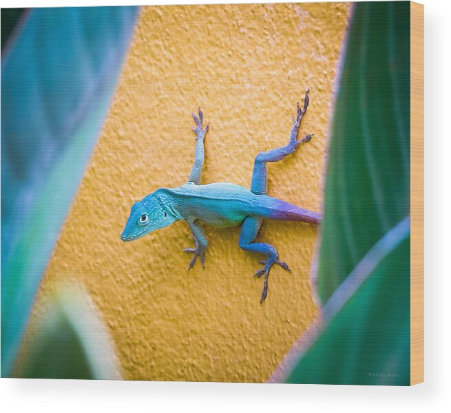 2006 Wood Print featuring the photograph Anole by Frank Mari