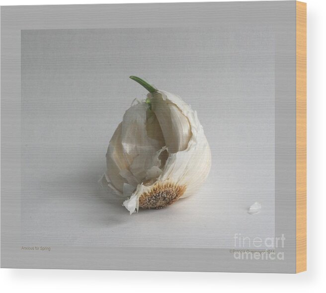 Garlic Wood Print featuring the photograph Anxious for Spring by Patricia Overmoyer