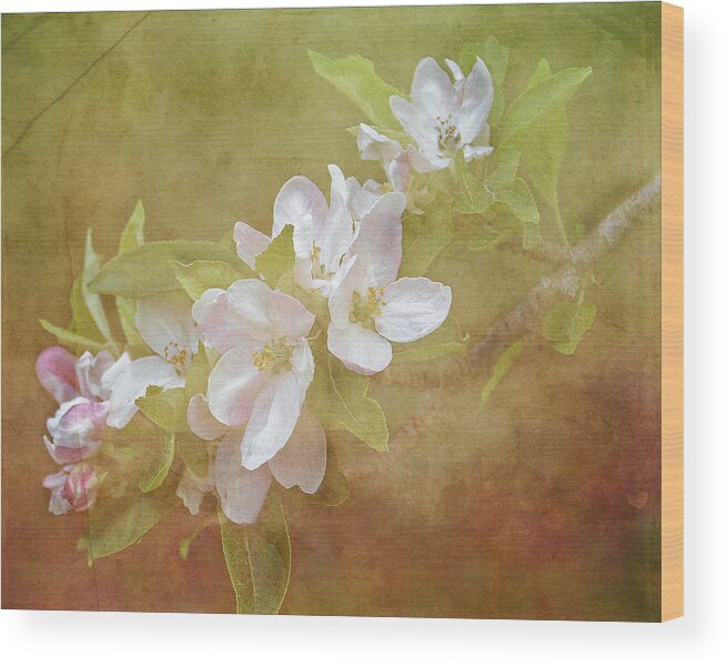 Apple Blossom Wood Print featuring the painting Apple Blossom Spring by TnBackroadsPhotos 