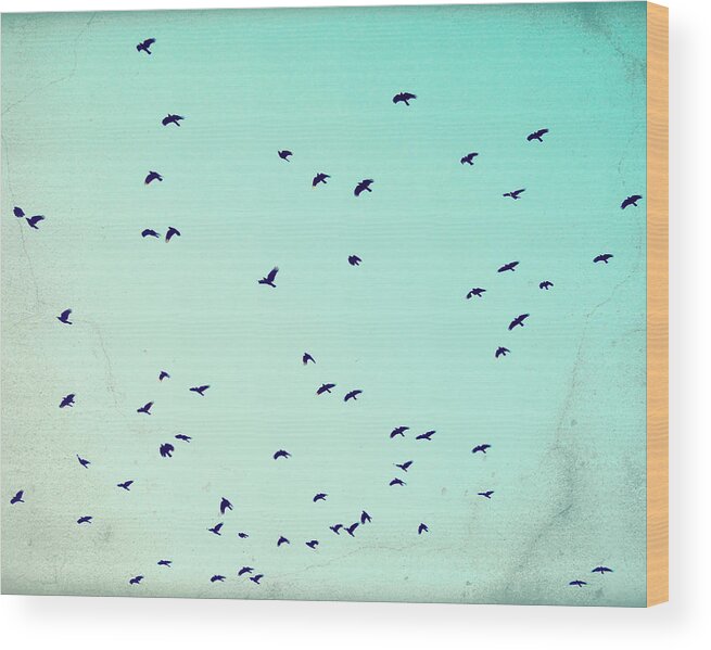 Birds In Flight Wood Print featuring the photograph As the Crows Fly by Lupen Grainne