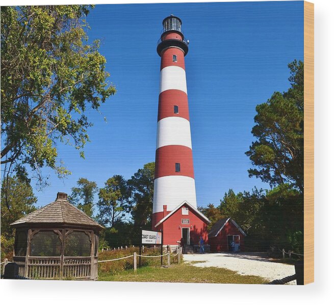 Lighthouse Wood Print featuring the photograph Assateague Island Lighthouse by Kim Bemis