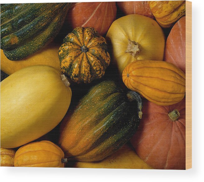 Orange Color Wood Print featuring the photograph Assortment of squash by Brand X Pictures