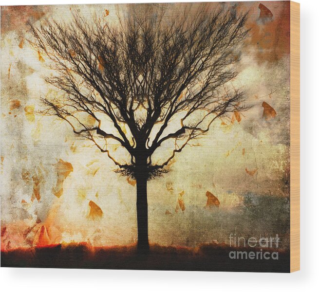 Nag004060 Wood Print featuring the photograph Autum Wind by Edmund Nagele FRPS