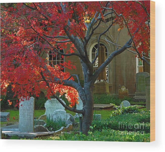 Charleston Wood Print featuring the photograph Autumn Charleston Churchyard by Deborah Smith