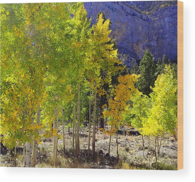 Aspens Wood Print featuring the photograph Autumn in Nevada by Donna Spadola