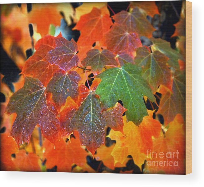 Autumn Leaf Progression Wood Print featuring the photograph Autumn Leaf Progression by Patrick Witz