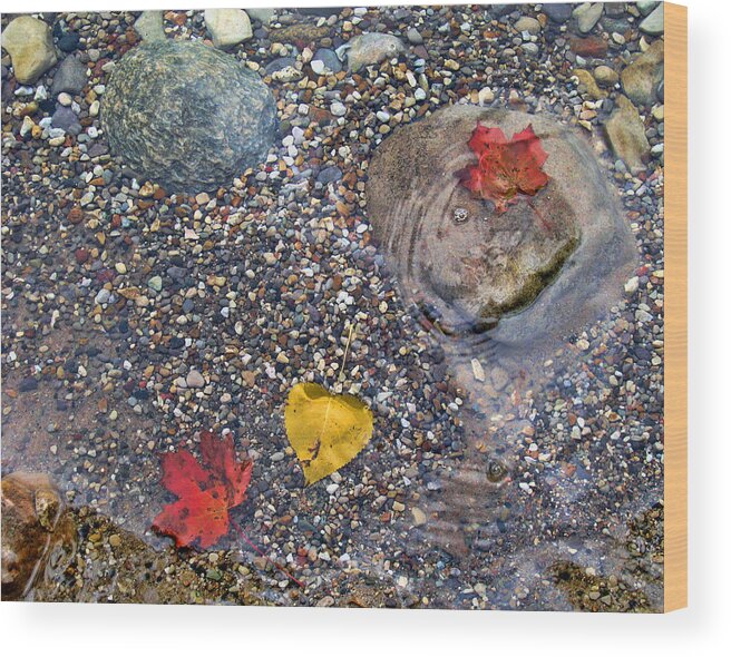 Autumn Wood Print featuring the photograph Autumn Leaves by Dean Ginther