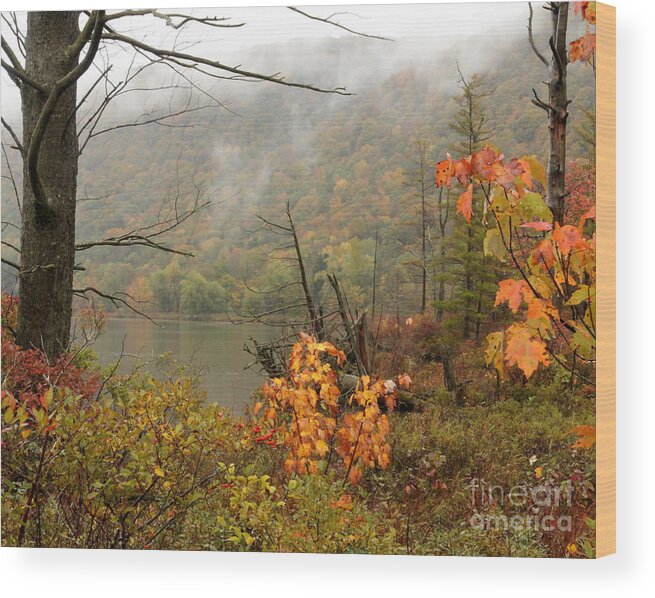 Mist Wood Print featuring the photograph Autumn Mist by Rod Best