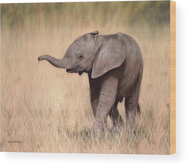 Elephant Calf Wood Print featuring the painting Elephant Calf Painting by Rachel Stribbling