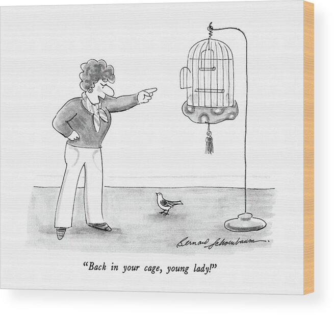 

 Woman To Bird On Floor Under Cage. 
Pets Wood Print featuring the drawing Back In Your Cage by Bernard Schoenbaum