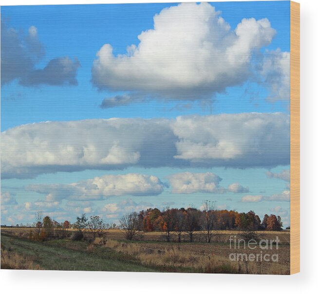 Autumn Wood Print featuring the photograph Beautiful Ohio by Karen Adams