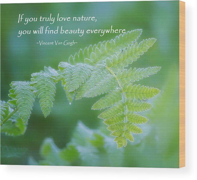 Green Wood Print featuring the photograph Beauty Is Everywhere by Bill Wakeley