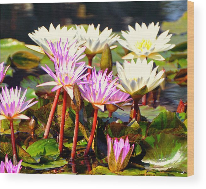 Flowers Wood Print featuring the photograph Beauty on the Water by Marty Koch