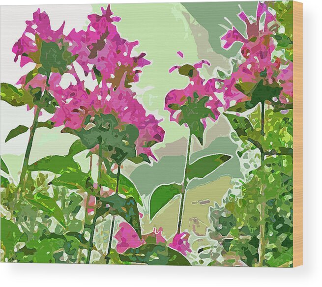 Flowers Wood Print featuring the photograph Bee Balm by Jean Hall