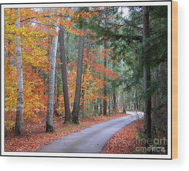 Landscape Wood Print featuring the photograph Bend in the Road by Mariarosa Rockefeller