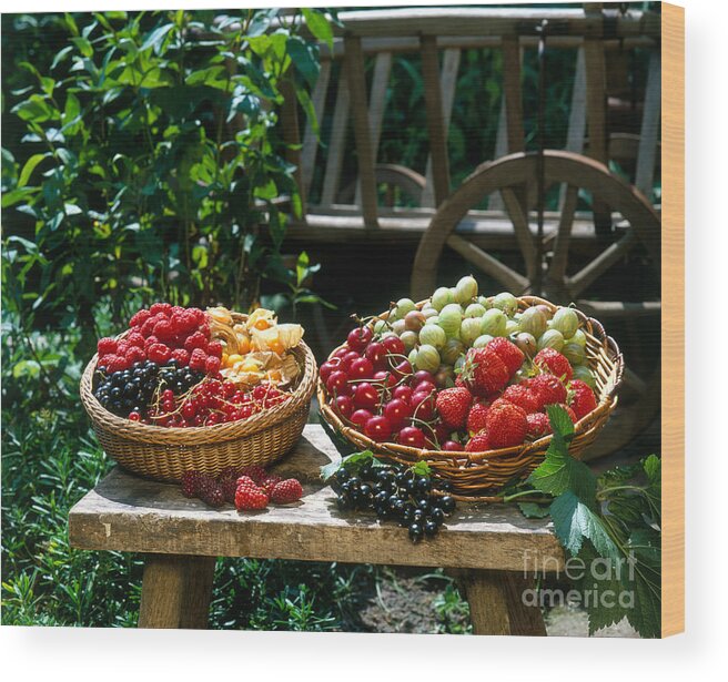 Plant Wood Print featuring the photograph Berries In Baskets by Hans Reinhard