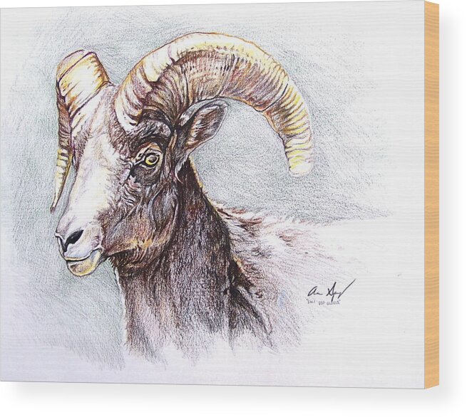 Sheep Wood Print featuring the painting Bighorn Sheep by Aaron Spong