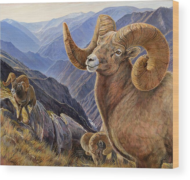 Bighorn Sheep Wood Print featuring the painting Bighorn Trio by Steve Spencer