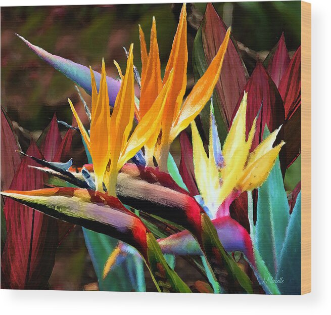 Bird Of Paradise Wood Print featuring the digital art Bird of Paradise and Ti by J Marielle
