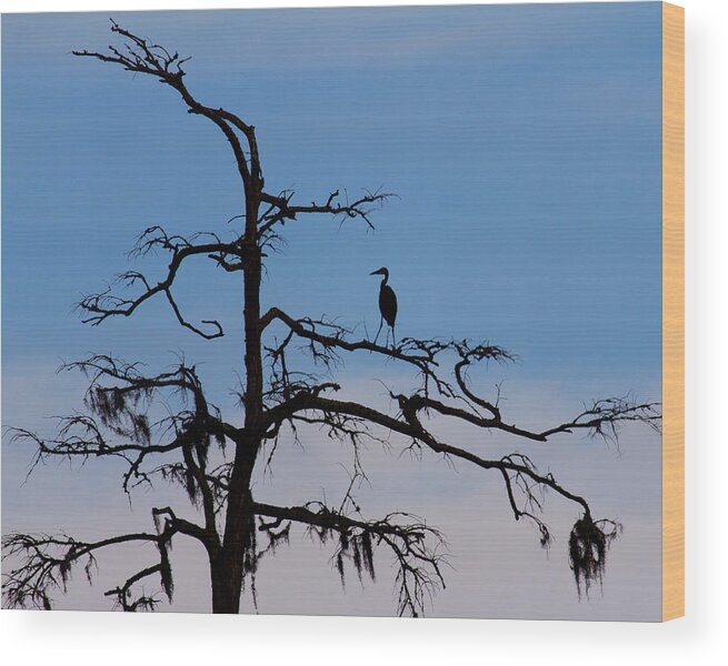 Silhouette Wood Print featuring the photograph Black and Blue by Alan Raasch