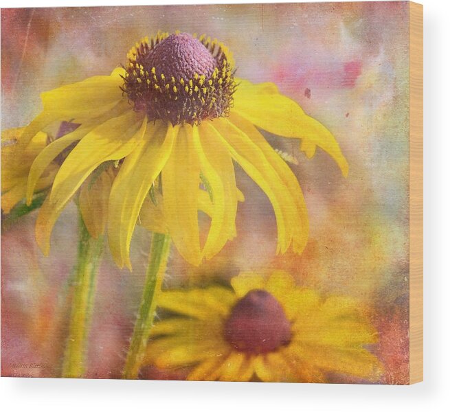 Rudbeckia Wood Print featuring the photograph Black-Eyed Susan by Melissa Bittinger
