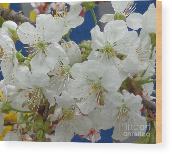 Flower Wood Print featuring the photograph Blossoming by Christina Verdgeline