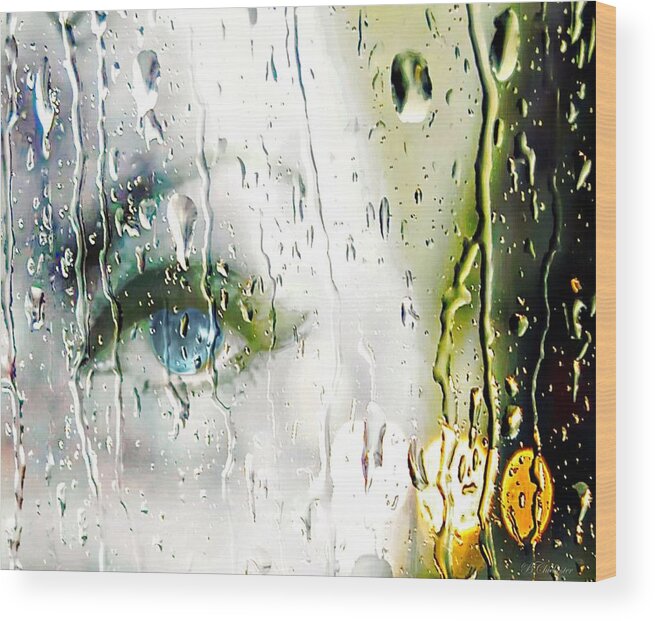 Blue Eyes Wood Print featuring the photograph Blue Eyes Crying In The Rain by Barbara Chichester