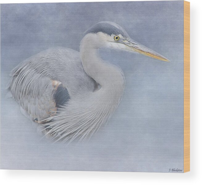 Creativity Wood Print featuring the photograph Blue Heron Art - Creativity by Jordan Blackstone