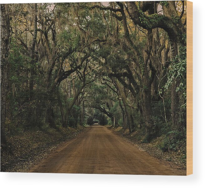 South Carolina Wood Print featuring the photograph Botany Bay Road by Kevin Senter