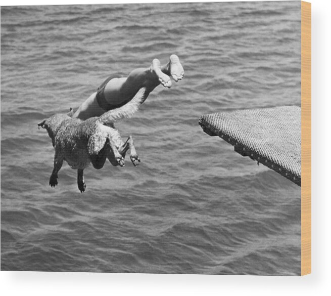 1940 Wood Print featuring the photograph Boy And His Dog Dive Together by Underwood Archives