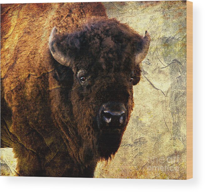 Buffalo Wood Print featuring the photograph Buffalo by Linda Cox