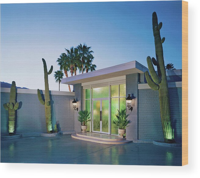 No People Wood Print featuring the photograph Cactus At Building Entrance At Dusk by Mary E. Nichols