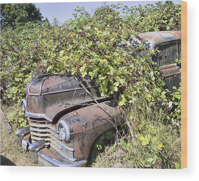 Classic Wood Print featuring the photograph Camouflaged car by Cathy Anderson