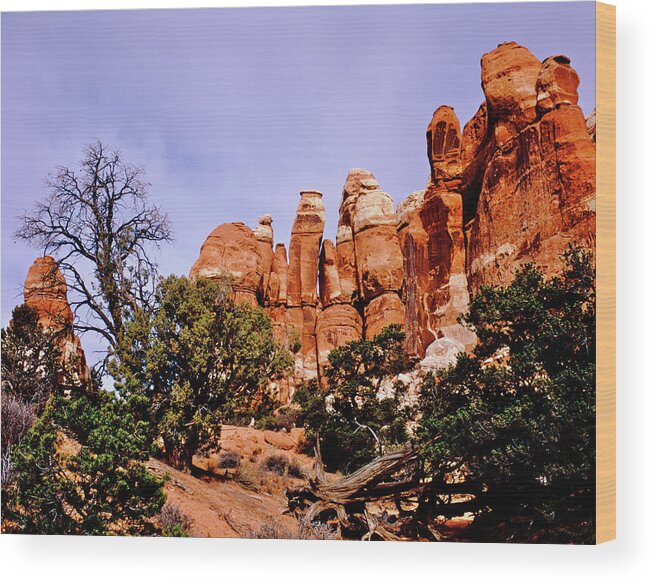 Canyonlands National Park Wood Print featuring the photograph Chesler Park Pinnacles by Ed Riche