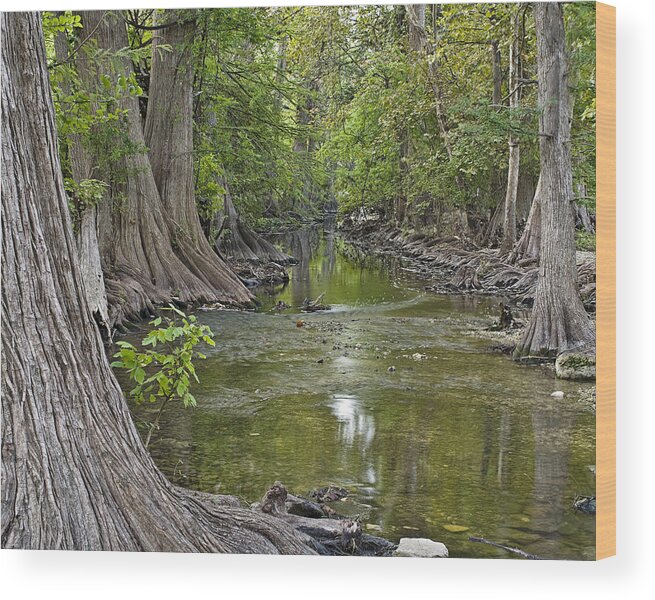 Cibolo Wood Print featuring the photograph Cibolo Creek - 1 by Paul Riedinger