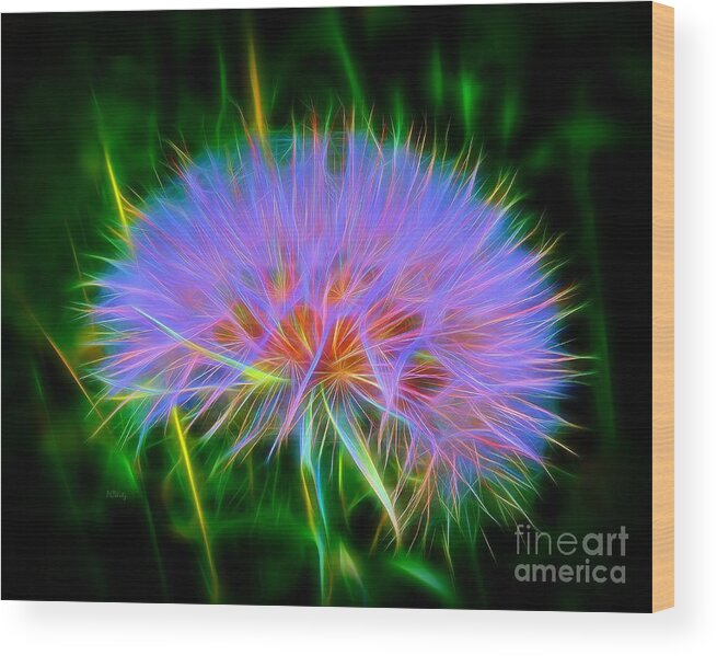 Colorful Puffball Wood Print featuring the photograph Colorful Puffball by Patrick Witz